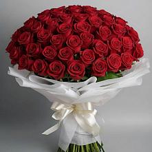 Букет 101 Красная роза Блэк Мэджик в Неме