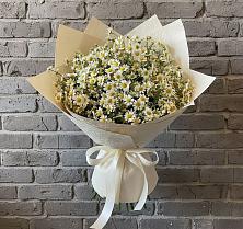Букет цветов из:  Ромашки #REPLACE_PRED# Неме