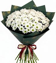 Букет цветов из:  Хризантемы #REPLACE_PRED# Неме