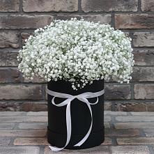 Цветочная композиция из Гипсофила в шляпной коробке #REPLACE_PRED# Неме