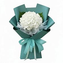 Букет цветов из:  Гортензия в Неме